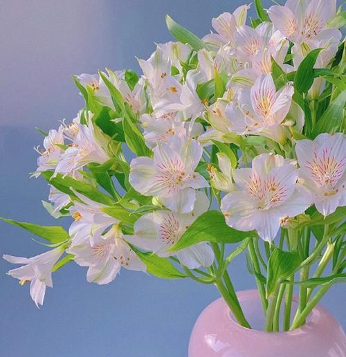 如何用花语表达甜蜜的期待？
