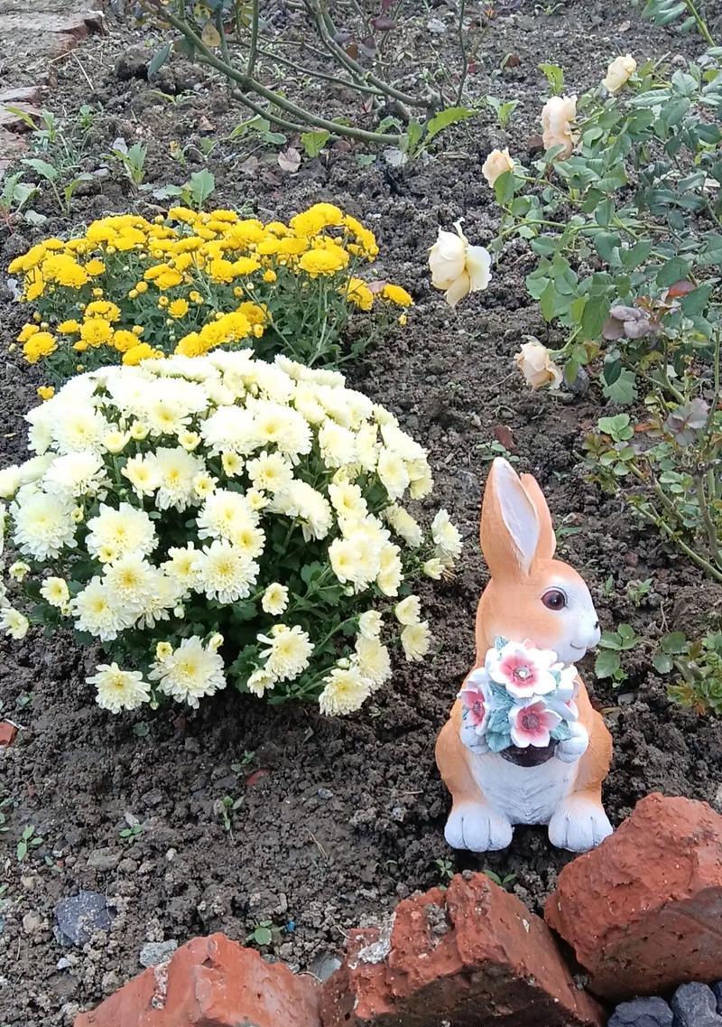 兔子耳朵手捧花有何寓意？象征着什么？