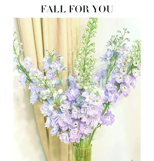 浪漫花语有哪些？花的含义有哪些浪漫语句？