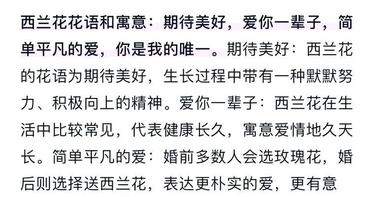 白色兰花手捧花有何特别寓意？