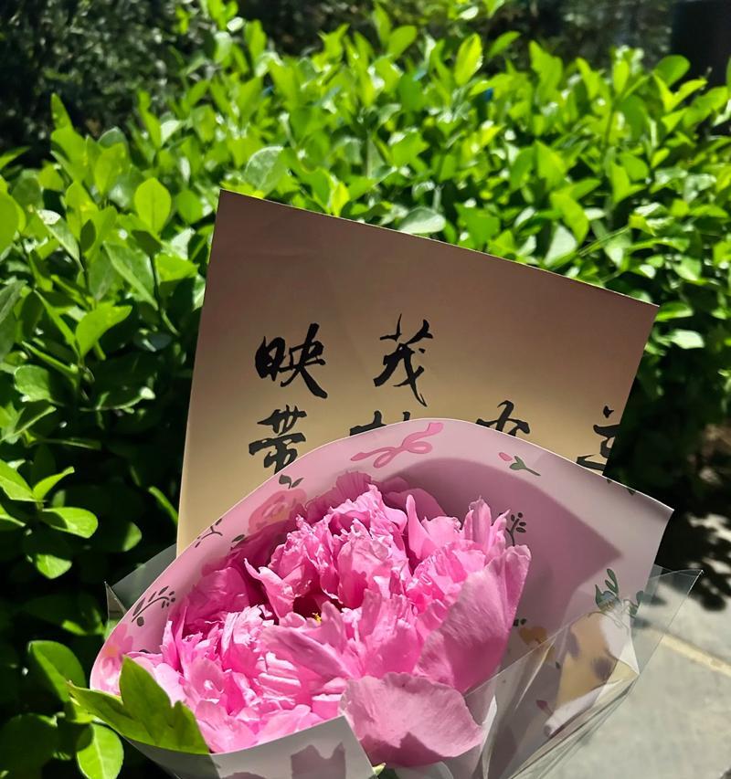 一束变色牡丹花的寓意是什么？变色牡丹花代表什么？
