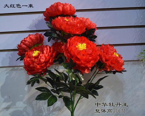 一束变色牡丹花的寓意是什么？变色牡丹花代表什么？