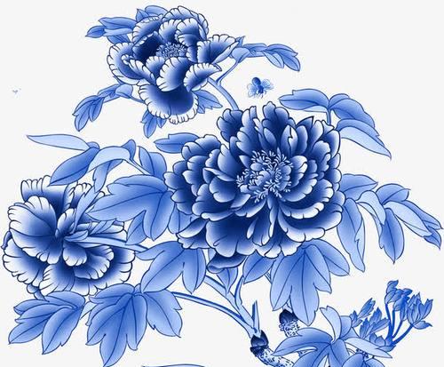 蓝色牡丹花代表什么？蓝色牡丹的花语和寓意是什么？