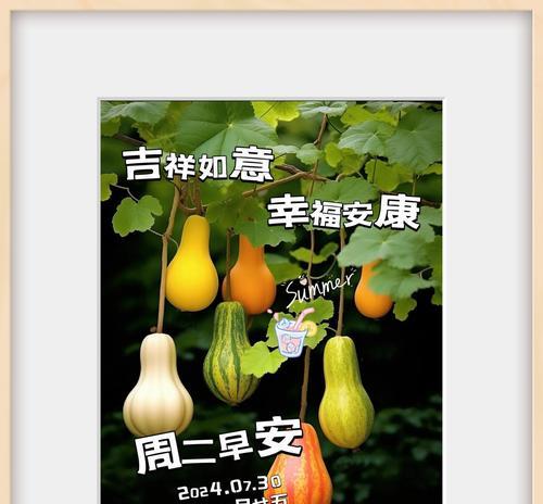 哪些花象征平安健康适合送人？