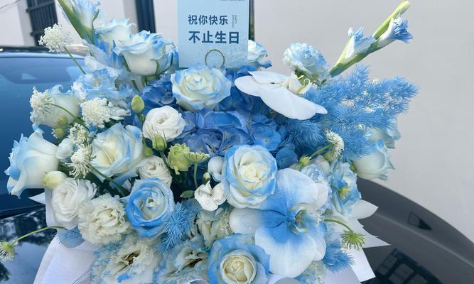 星辰花的花语、颜色及其寓意是什么？