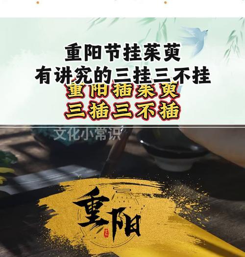 重阳节送茱萸花有何寓意？茱萸花在重阳节的意义是什么？
