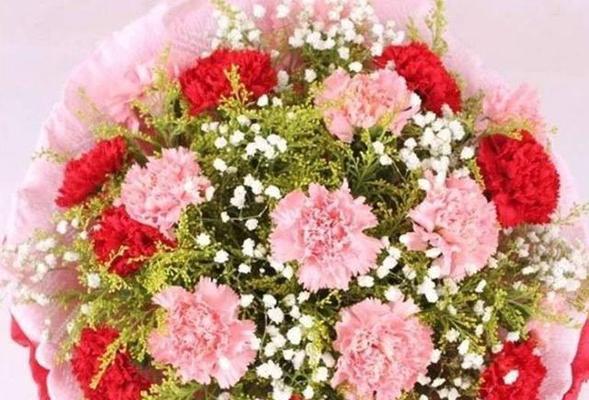 哪些花表示祝福的寓意？