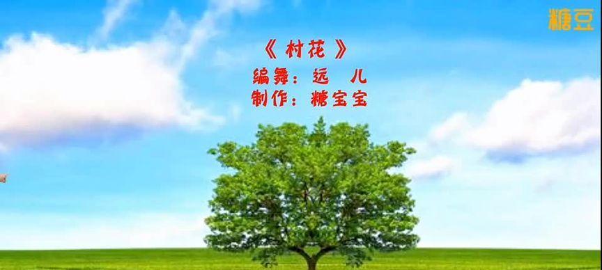 村花中哪些带有吉祥寓意？如何选择寓意吉祥的花卉？