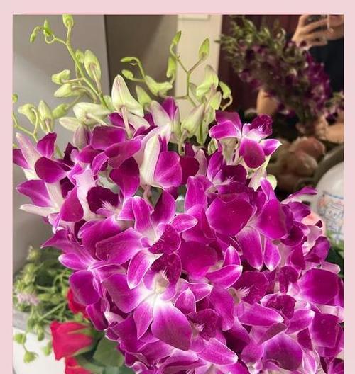 哪些花象征坚毅勇敢和幸福？