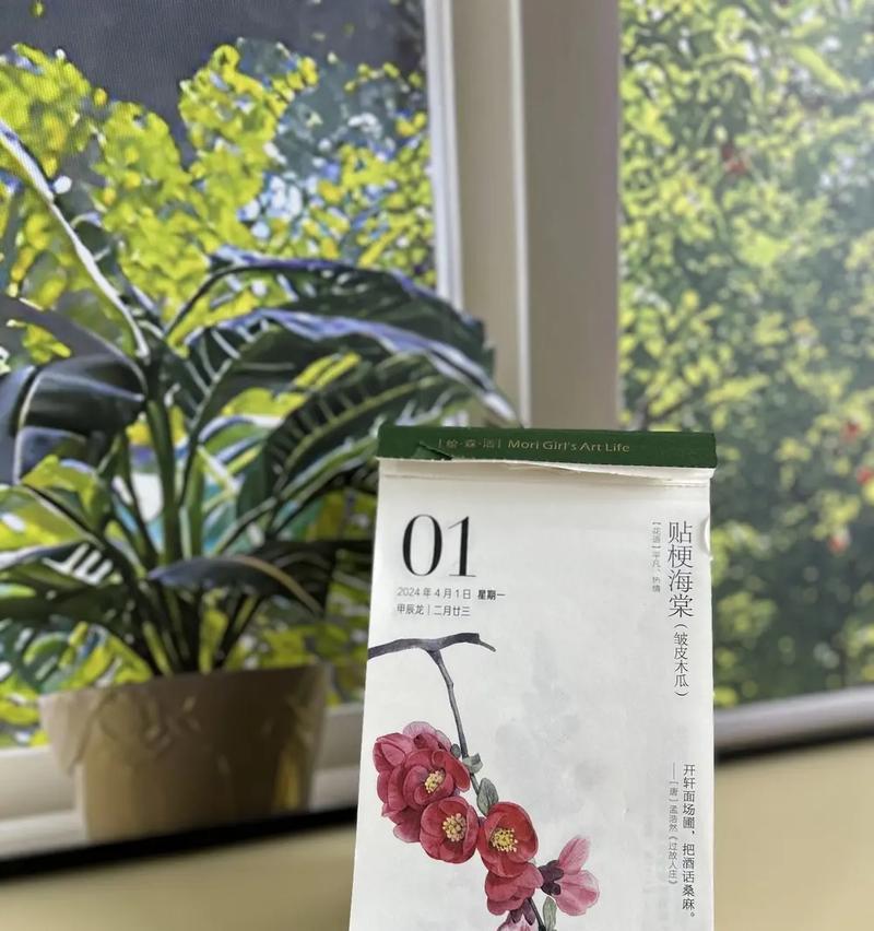 2024年有哪些特别的祝福花语？它们分别代表什么？