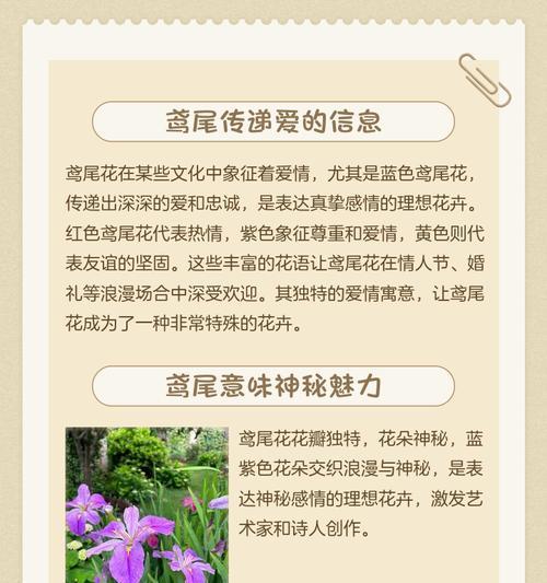 四季的花分别代表什么寓意？它们的象征意义有哪些？