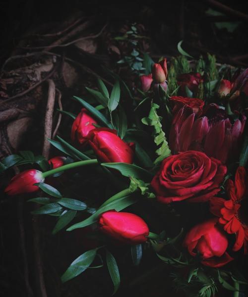 暗黑色手捧花代表什么？它们的寓意有哪些？