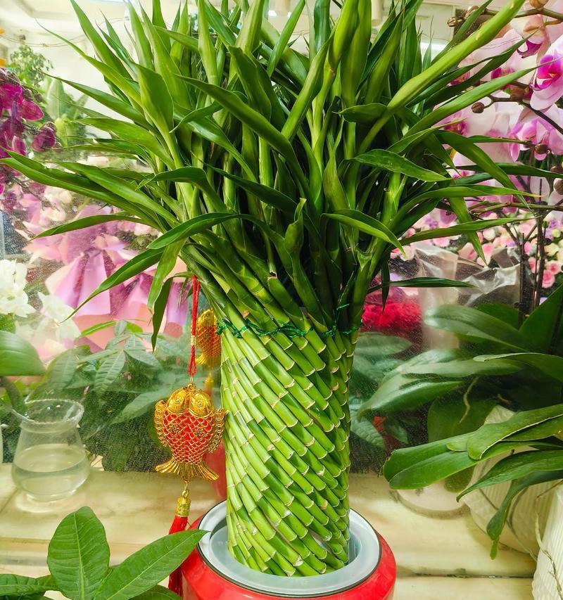 哪些花寓意富贵平安？花的寓意是什么？