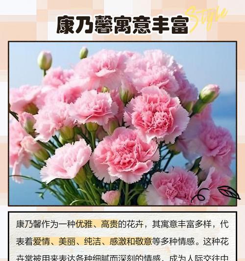 哪种花象征海洋？它的寓意是什么？