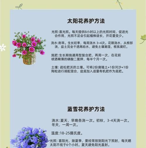 不同场合选择花卉的含义是什么？