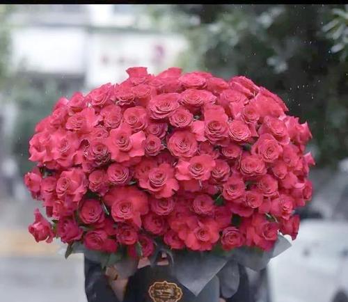 不同场合选择花卉的含义是什么？