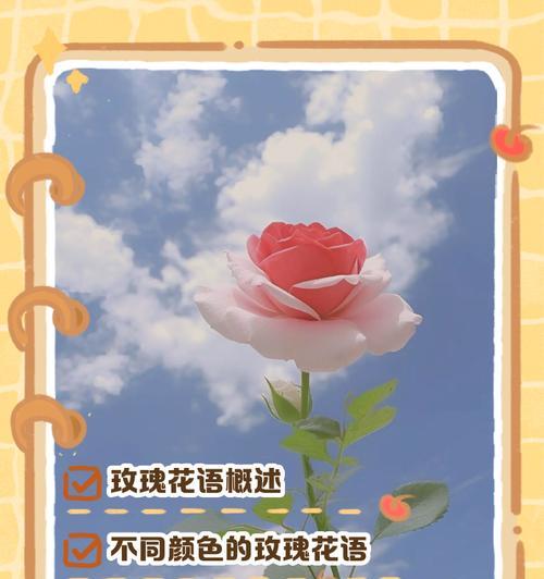 感谢的花语有哪些？祝福花语大全是什么？