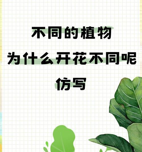一棵树上两种颜色的花象征什么？如何理解这种花的双重寓意？