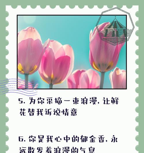 哪些花朵代表浪漫及其花语？