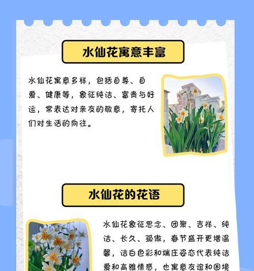 水仙花代表什么爱情？花语和寓意有哪些？