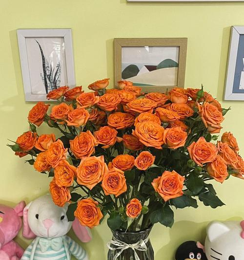 鲜花橙色芭比花语是什么？橙色芭比花在送礼时的特别含义？