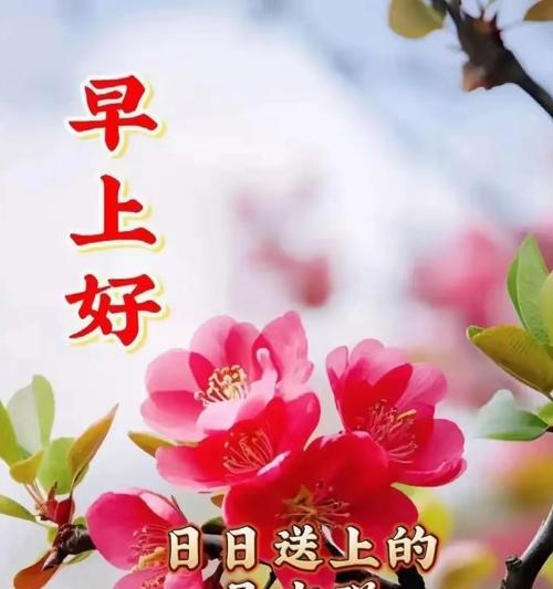哪种花象征平安祝福？平安花的寓意是什么？