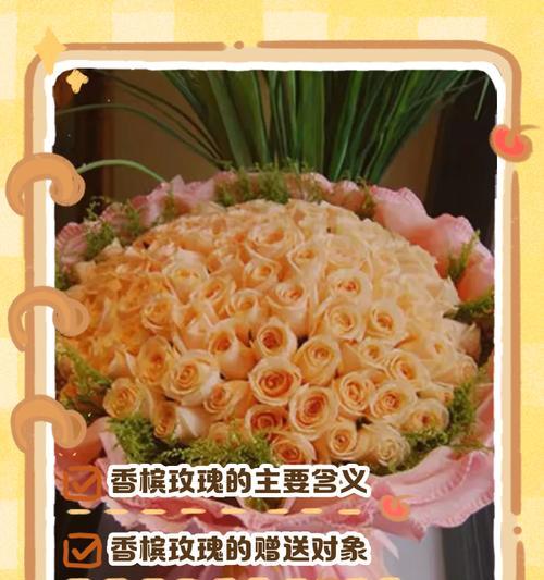 香槟颜色玫瑰花的寓意？