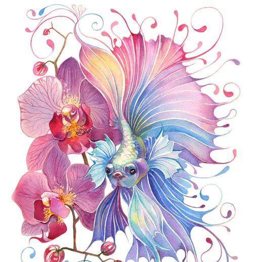 花与鱼如何共同象征爱情？