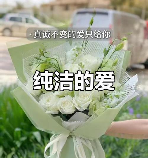 白色洋菊梗花代表什么寓意？