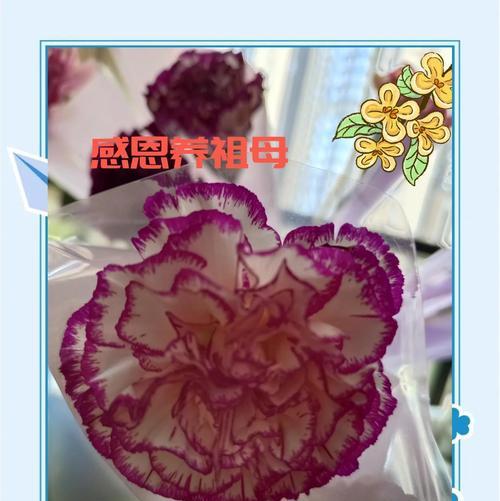 送奶奶手捧花有何特别寓意？