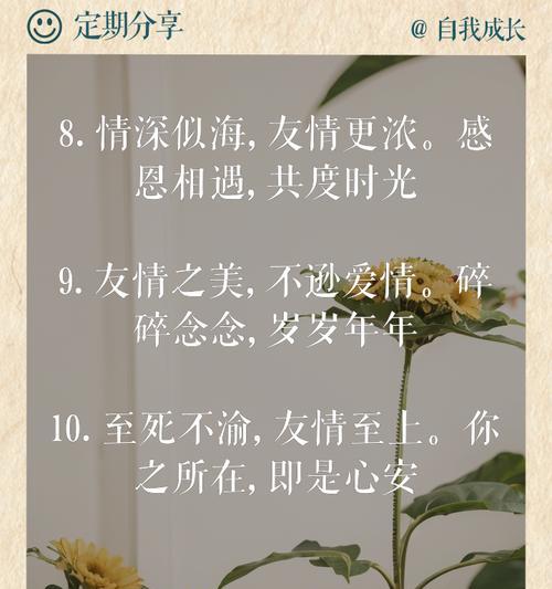 哪种花寓意友情胜过爱情？友情花的含义是什么？