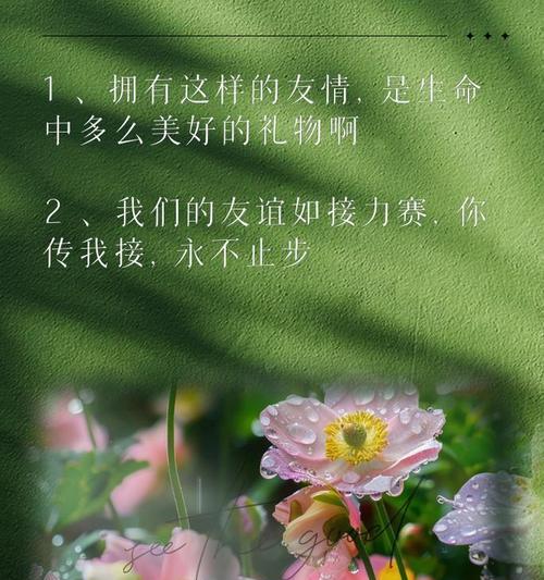 哪种花寓意友情胜过爱情？友情花的含义是什么？