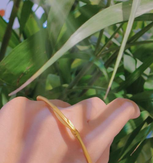 竹节银手镯代表什么花语？如何挑选寓意吉祥的手镯？