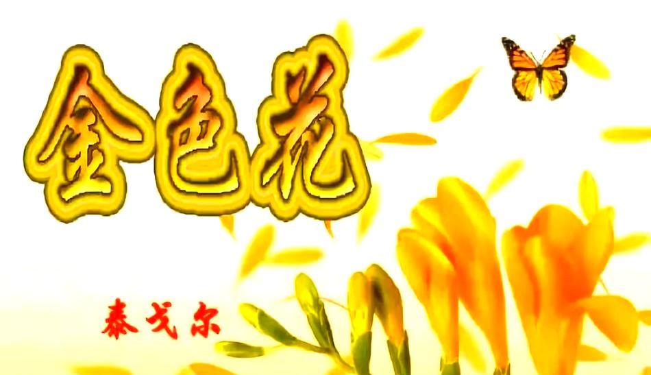 金色花有什么深刻的含义？如何选择金色花作为礼物？