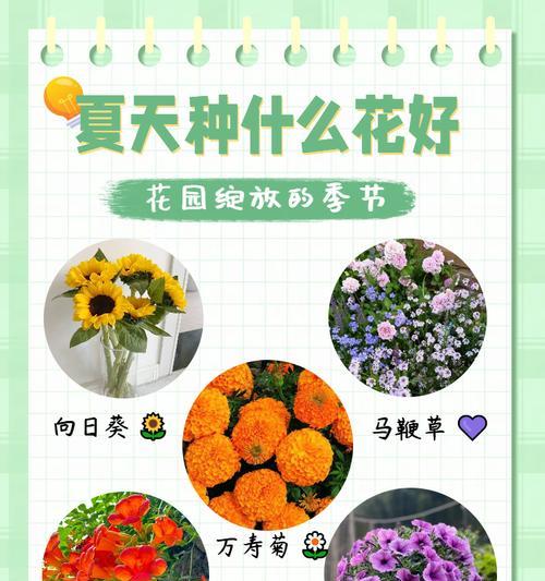 哪种颜色的花最有寓意？它们代表了什么？