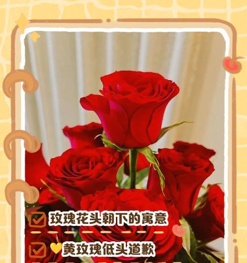 渐变色玫瑰花代表什么？幸福玫瑰花的寓意有哪些？