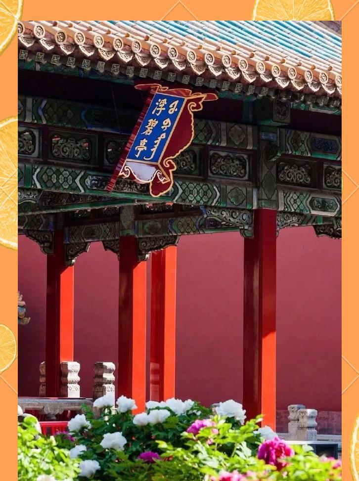故宫花卉有哪些文化意义？它们的寓意是什么？