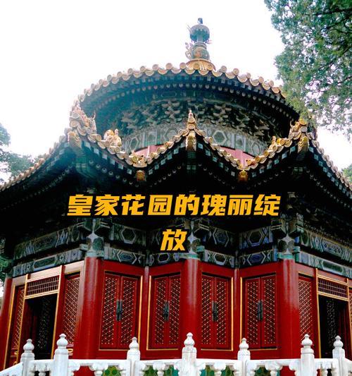 故宫花卉有哪些文化意义？它们的寓意是什么？