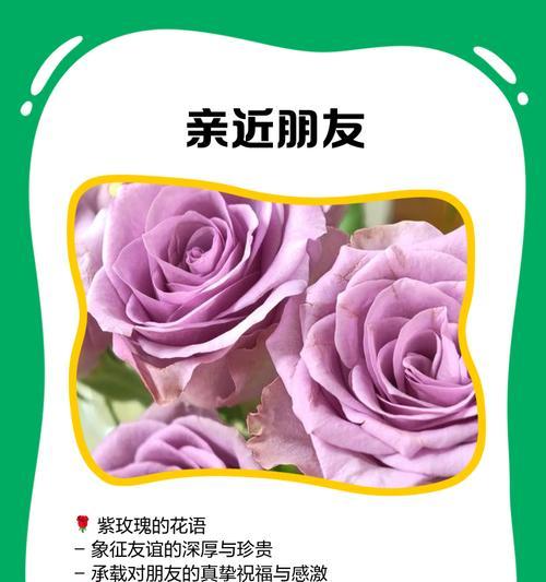 黑色配紫色的玫瑰花寓意是什么？这种搭配有何特别含义？