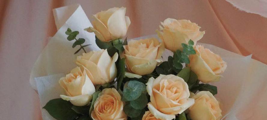 老师节日应该送什么花？花语中有哪些适合老师的？