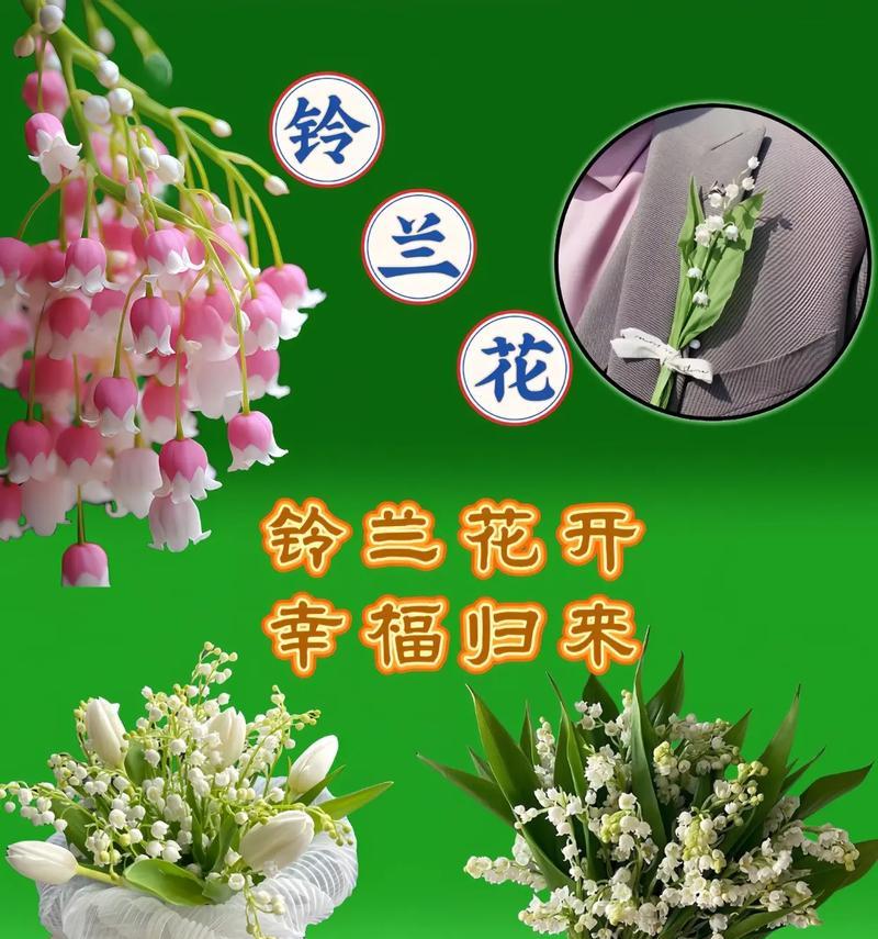 哪种花的花语是幸福保障？