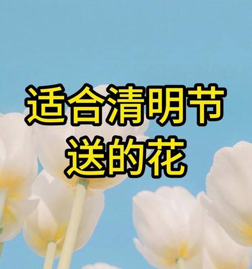 清明节送什么花有特殊含义？清明节花卉的寓意有哪些？