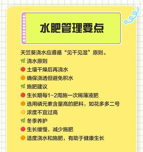 天竺葵冬季养护方法（如何安全越冬）