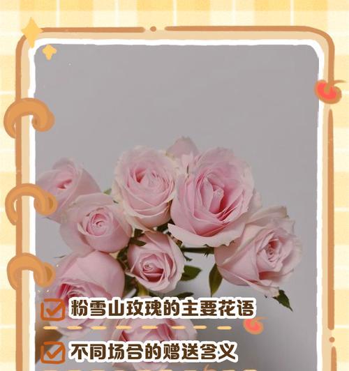 粉玫瑰的花语（传递爱的美好象征）