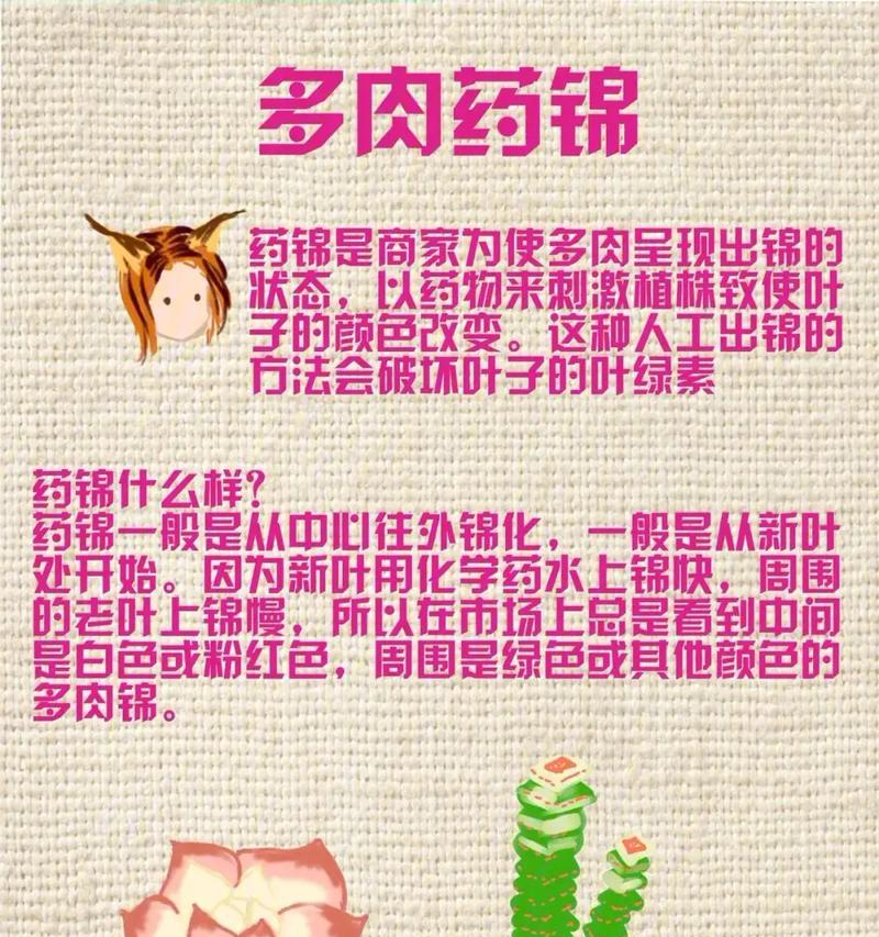 多肉初学者必看（学会这些技巧，让你的多肉更健康成长！）