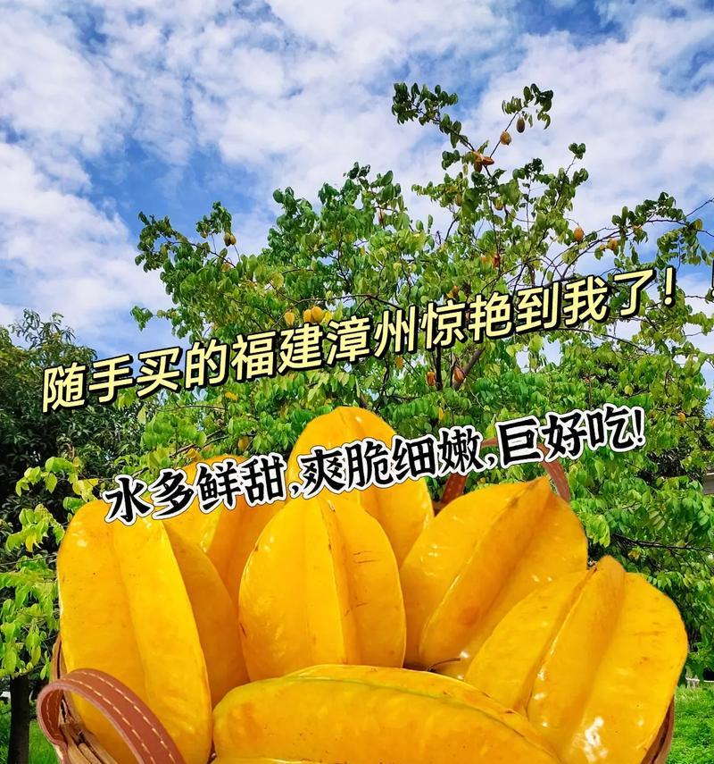杨桃到底熟没熟？如何正确判断？（怎么看熟没熟？颜色、手感、气味、重量都有哪些指标？）