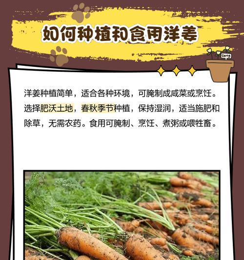 洋姜生芽能吃吗？探究营养价值和安全性（洋姜生芽食用的优缺点及注意事项）
