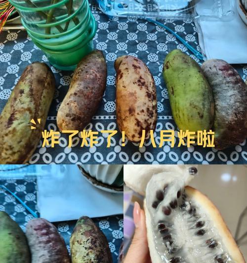 八月炸籽的神奇功效（探寻八月炸籽的营养及食用方法）