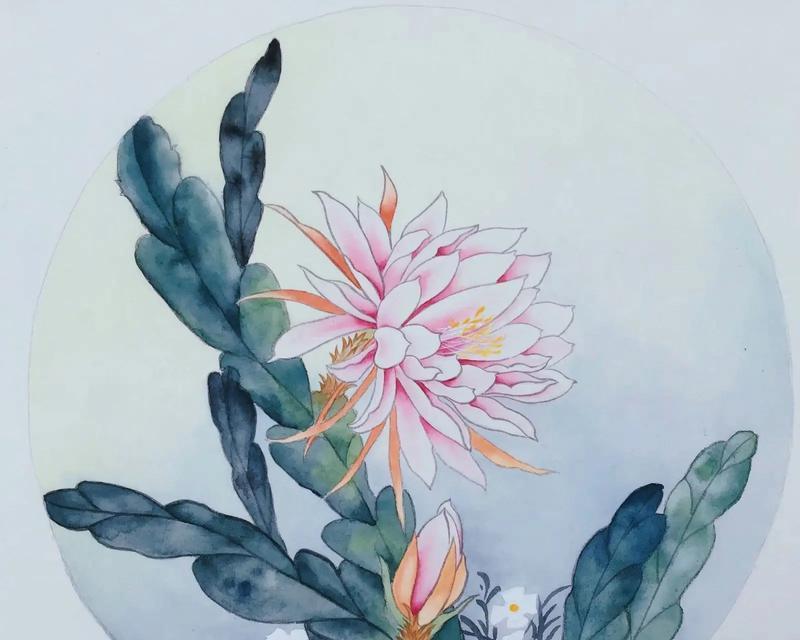 姬珊瑚仙人掌的繁殖与注意事项（如何培育健康的姬珊瑚仙人掌？）