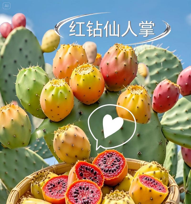 仙人掌（探秘仙人掌花开的奥秘）